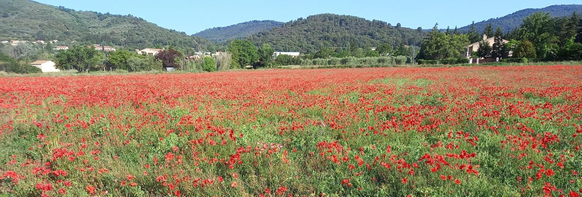 Gite La Mosaique Dauphin Exteriör bild