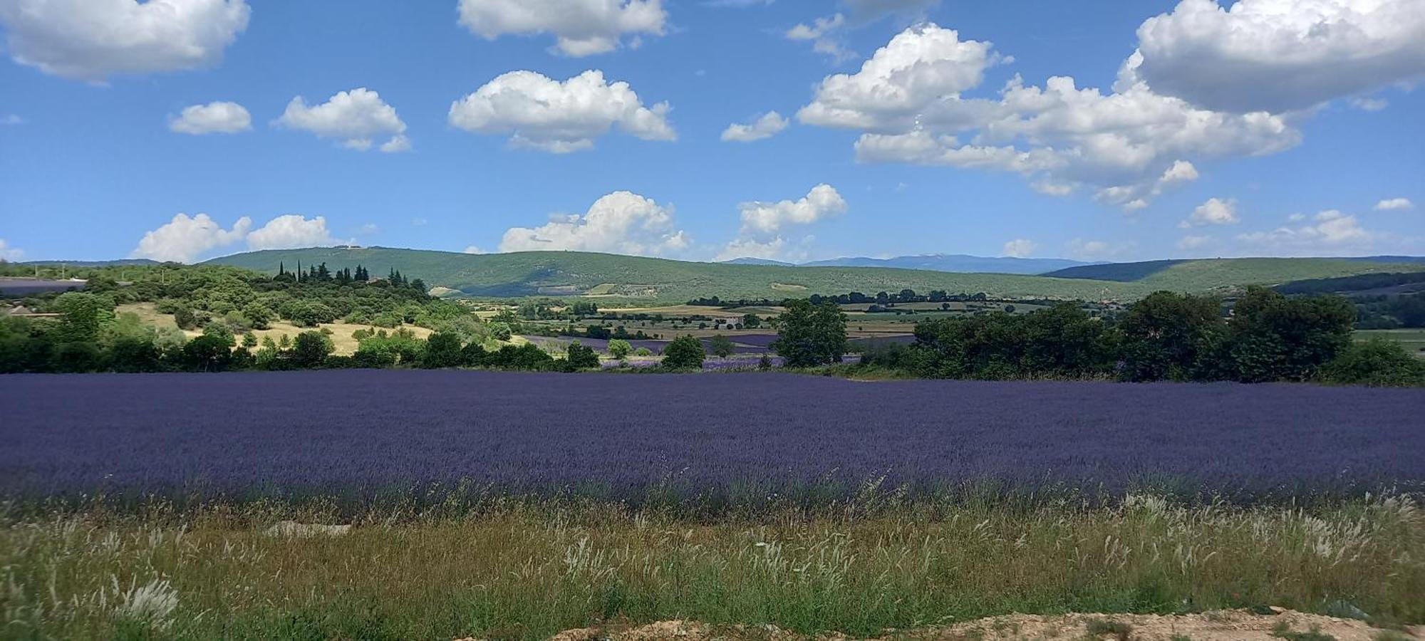 Gite La Mosaique Dauphin Exteriör bild